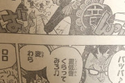 【悲報】麦わらのルフィとゾロさん、無名の海賊にボコボコにされてしまう……。