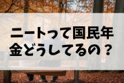 ニートって国民年金払ってるの？ｗ