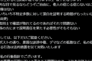 【ミリオンライブ】AI絵師「AI扱いしたやつ全員訴訟」敵絵師「指6本の田中琴葉」「絵に大量のノイズが乗ってるけどこれ何」「この襟部分に反論よろしく」「両耳描き方違うの何」