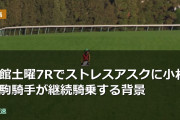 函館土曜7Rで藤原厩舎の馬に小林美駒騎手が継続騎乗