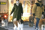 【画像】B’z稲葉浩志、愛犬の散歩をFRIDAYされるも合成にしか見えない