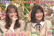 【乃木坂46】清宮レイ×田村真佑『ナニコレ珍百景』で名倉にセクハラ質問されるｗｗｗｗｗｗ