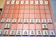 日常で一番使われる将棋用語「王手」説