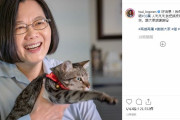 【台湾】蔡英文総統、自宅で猫とTVを見ながらくつろぐ動画を投稿　安倍首相をリスペクト？
