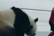 中国人「日本の人口はノルウェーの22倍。サッカーで引き離せないのはなぜ？」　中国人「2700倍」「インドがどうしたって？」