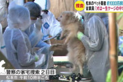 約1000匹の犬を飼育・繁殖か　劣悪な環境…ペット業者を捜査　従業員「犬は一生ケージの中で」
