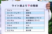【疑問】格闘技の”階級”っておかしないか？？？？？　バスケが身長で区切られるか？？？？