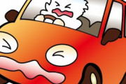 【悲報】若者「こういうことがあるから、車は乗らない」