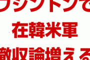 韓国「ワシントンで在韓米軍撤収論が増えてる！大変だ！もう米韓同盟はおしまいだ！」　自業自得だろ…