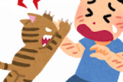 ワイのネッコ、朝から怒って引っ掻いてくる…