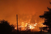【韓国・また山火事】江原道高城の山火事、強風に乗って拡散 ... 住民30人避難・職員召集令