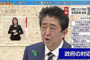 朝日記者「布マスクなんかいらなくね？」安倍ちゃん「御社の通販サイトで3300円で売ってますよね」