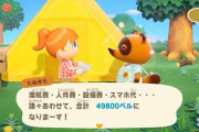 【あつまれどうぶつの森】前作からしかやってないから、たぬきちがなんで銭ゲバ扱いされてるかわからん