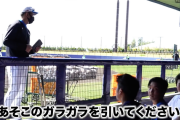 【朗報】ハムのガラポン打順抽選、めちゃくちゃ楽しそう