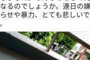 犯人は強肩の元野球選手でネトウヨですね。自演じゃないよね？　〜　立憲・辻元清美｢生卵を投げつけられました。とても悲しいです｣