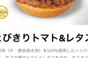 【朗報】ハンバーガー好きのワイが美味しいチェーン店でランキング作ってみた！wywy