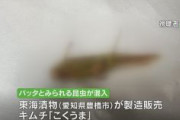 【こくうま】「口に入れたら長ネギの食感が…」キムチにバッタか　5㎝ほどの昆虫が混入　製造会社「東海漬物」は原因を調査