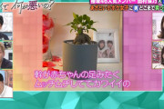 みんな気がついた？櫻坂46武元唯衣「あざとくて何が悪いの？」田村保乃出演ドラマに友情出演していた模様