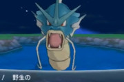ポケモン世界ってギャラドスがそこらの川で普通に釣れるけどさ