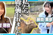 【奈良観光】東村芽依とガチデートしてみたら男前すぎて惚れ直した【めいかほ】