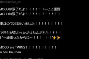 【ホロライブ】フワモコは双子です、フワワはちゃんと存在します