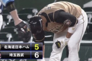 【vs西武】日ハム王柏融、代打でタイムリーヒット！1点差まで詰め寄る！