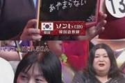 韓国人「日本の放送が韓国文化を侮辱！」「韓国人は友達の家でウンコをしなければ成らない」「韓国人はスミマセンと絶対言わない」　韓国の反応