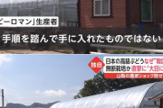 シャインマスカットの「悪夢」もうごめん　「かんきつ王国愛媛県」が米国で仕掛ける品種ビジネス [12/3]