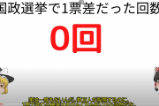 【画像】ゆっくり魔理沙「期待値0.01円のために数十分かけて選挙に投票するなんてコスパ悪いんだぜ」