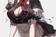 【FGO】メイド姿の邪ンヌイラスト！！　サイズが合わなかったかｗ