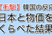 【衝撃】韓国人「日本と物価を11項目くらべたら、怖くなってきた」