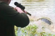 【悲報】ババア、遊びでワニを射殺ｗｗｗｗｗｗｗｗｗｗｗ