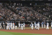 【5連勝】ハムファン集合！