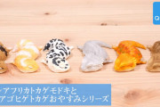 おやすみ中の「ニシアフリカトカゲモドキ と フトアゴヒゲトカゲ」がガチャフィギュアになった！
