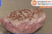 【画像】「真っ赤な半生の生バーグ」が流行中ｗｗｗｗｗｗｗ