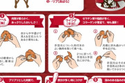 【画像】ケンタッキーフライドチキン公式の正しい食べ方がこちら！