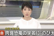 ドラえもん好きな中国の恐竜研究者「のび太くんの夢を叶えた」新発見の肉食恐竜にのび太と名付ける