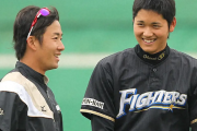 ハンカチ世代(1988)と大谷藤浪世代(1994)の間のプロ野球選手、ガチのマジで地味過ぎる