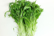 水菜って野菜は一体何に使うのが正解なんだよ