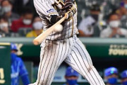 【野球】セ･リーグ T2-1DB[7/12]　大山均衡破る6回先制打＆8回適時打全打点！岩貞8回3安打0封！阪神逃げ切る　De平良好投も反撃遅く
