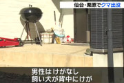 住宅敷地内にクマが侵入！男性は犬と共に車のジャッキを振り回し熊に反撃！犬は負傷！
