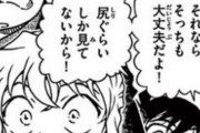 【名探偵コナン】正直コナンには蘭より「灰原」の方がお似合いだと思うよね？？？