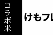 「けものフレンズ×朱鷺と暮らす郷」コラボ米が販売開始　サンプル画像も公開