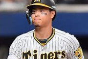 阪神・佐藤輝明、他球団との対立と自費キャンプの裏側