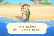 【話題】「釣り」も「昆虫採集」もNG！？動物保護団体PETAが『あつまれ どうぶつの森』にクレームをつけているもよう…