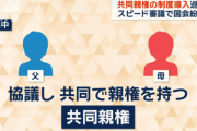 【賛否】「共同親権」、修正案が衆院法務委で可決　今国会で成立へ