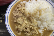 【うまい】○○でスープカレー飯作ったよwwwwwwww（画像あり）