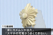 警察庁「カメムシが出た、スマホの充電ができないとかで110番しないでください」