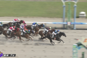 【上越S】エンヤラヴフェイス＆川須騎手がｷﾀ━━━━(ﾟ∀ﾟ)━━━━!!