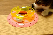 知り合いが長年のエア下僕。最近我慢できずに猫カフェデビューしたらしいのだが、曰く「あの子たちはプロだ…」だそうで・・・【再】